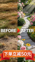 Free Garden Design Trial